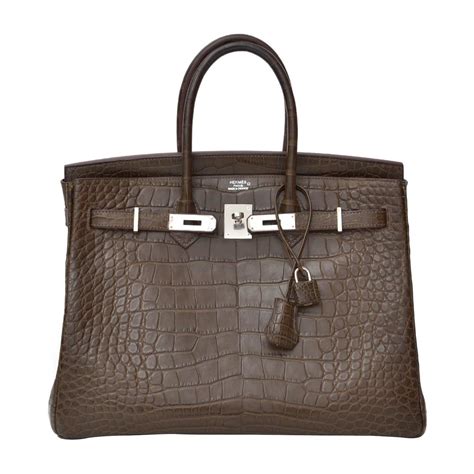 hermes crocodiles